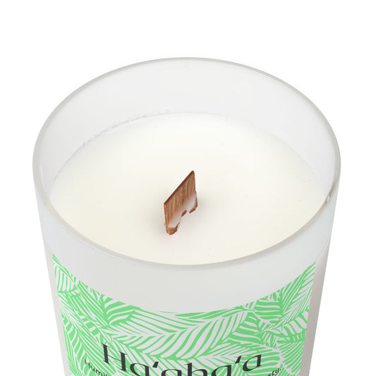 Ha'aha'a Frosted Glass Candle | Scented Soy Candle for Relaxation, Home Decor, Spa Day, Eco-Friendly | 11oz, 50 Hour