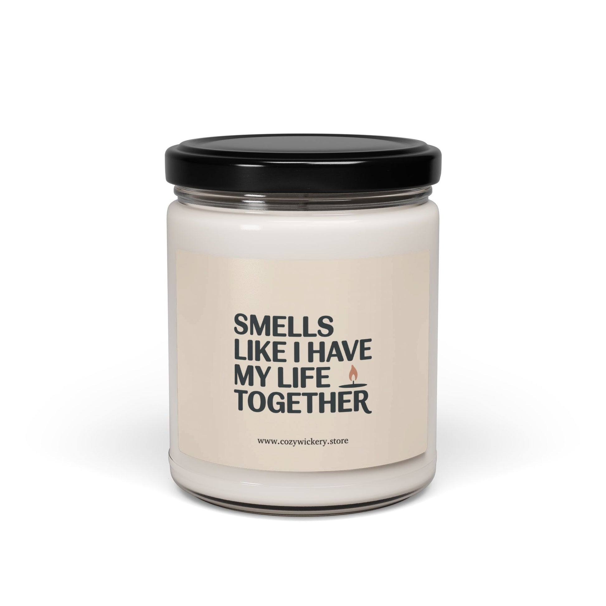 Smells Like I Have My Life Together Candle product type
